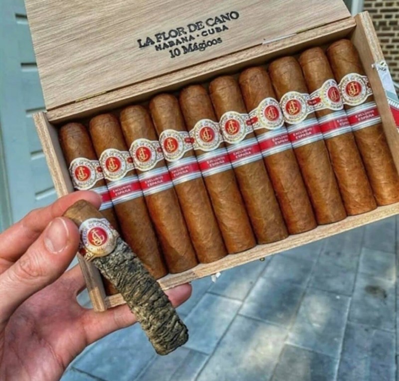 La Flor De Cano Magicos Espana