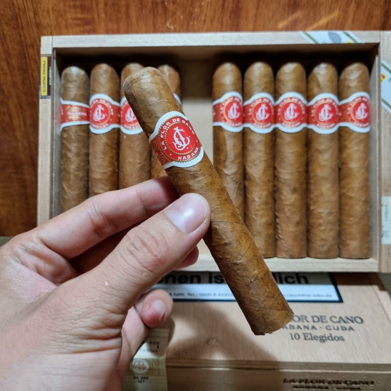 La Flor De Cano Elegidos14